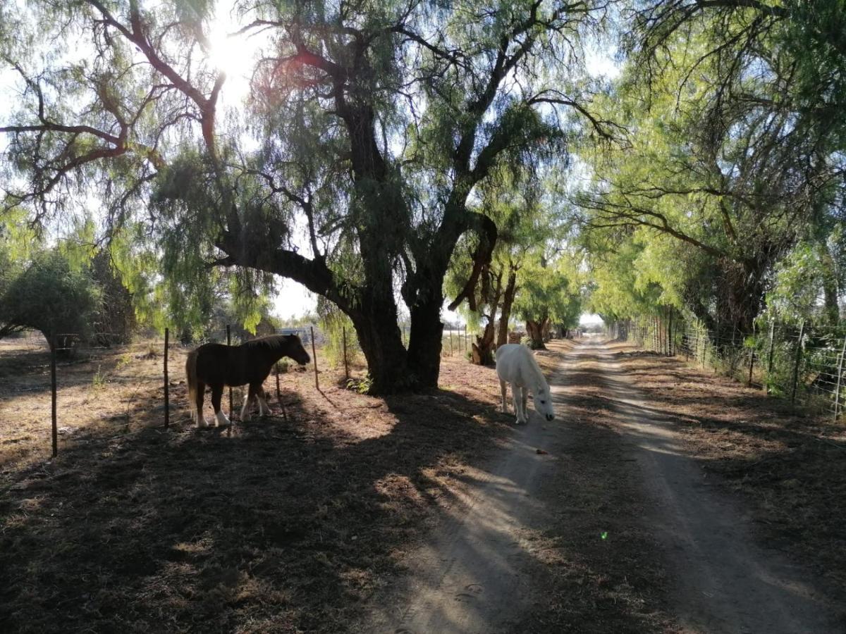 Doornfontein Guest Farm Hotel Cradock Kültér fotó